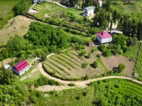 Лучшее инвестиционное предложение на рынке недвижимости Грузии.