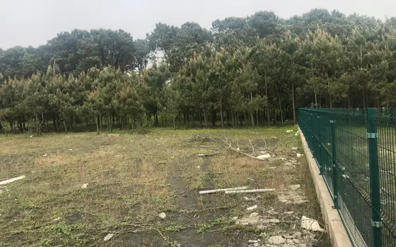 Продается инвестиционный земельный участок на берегу Черного море в Шекветили. Гурия.