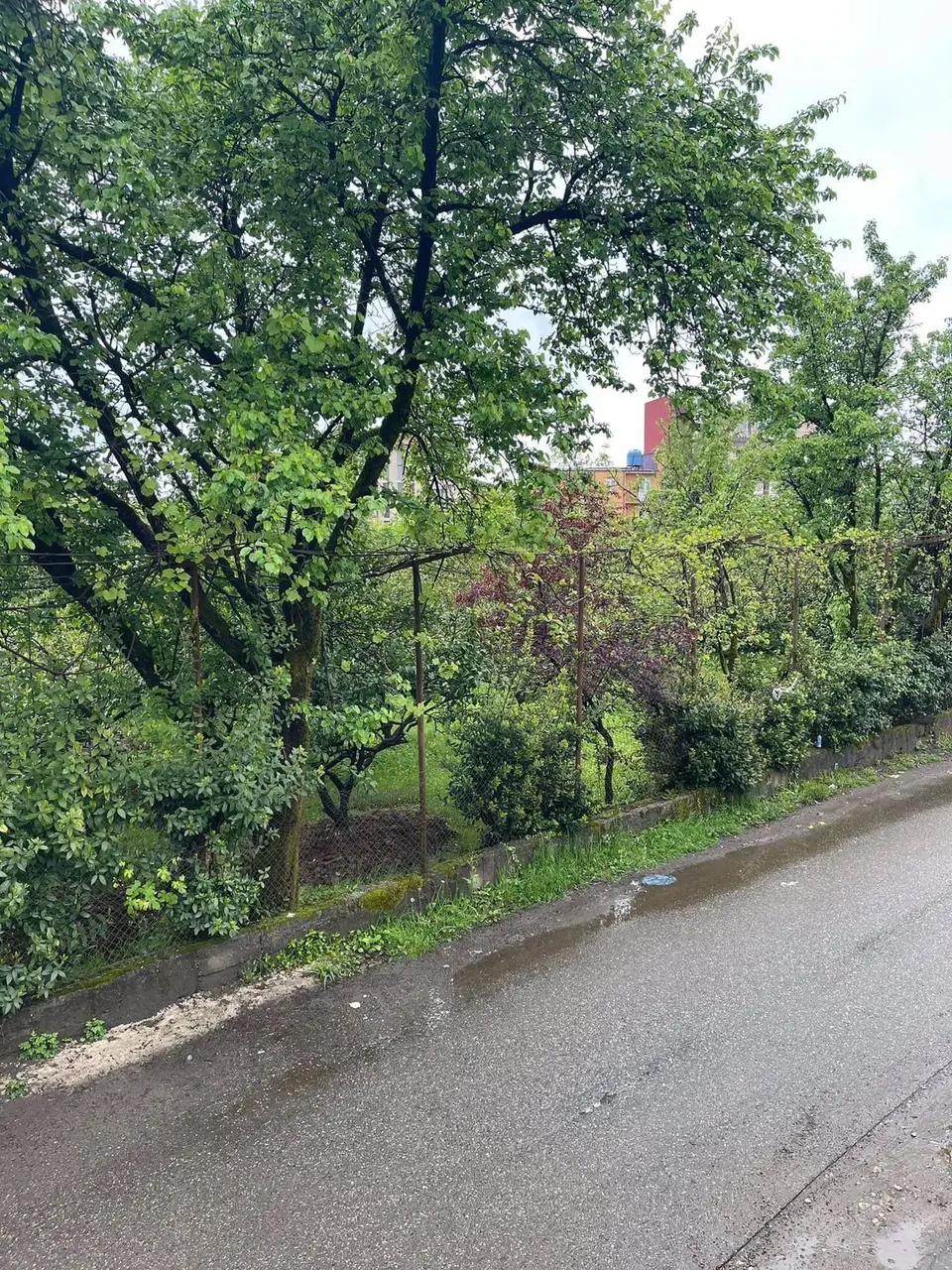 Земельный участок возле международного аэропорта Батуми.