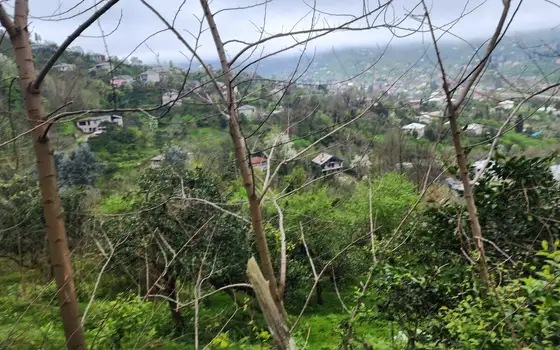 Plot of land with great views., photo 4