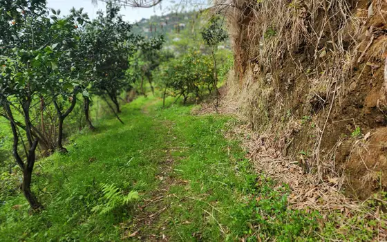 Land plot with non-rural status., photo 8