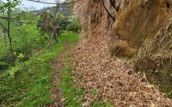 Land plot with non-rural status., photo 7