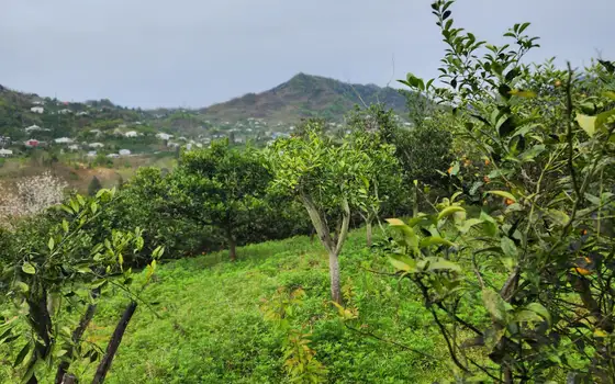 Land plot with non-rural status., photo 11