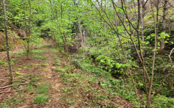 Land plot with non-rural status., photo 5