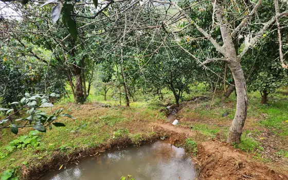 Land plot with non-rural status., photo 10