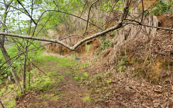 Land plot with non-rural status., photo 6