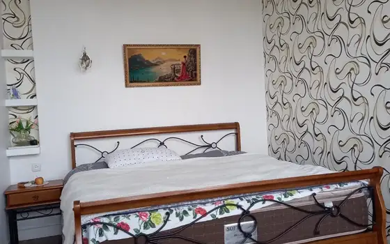 собственный дом с участком земли.