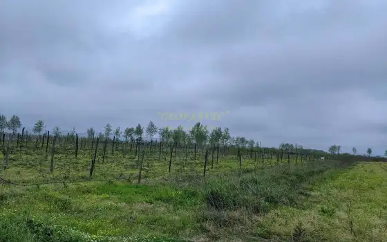 Сельскохозяйственный участок в Хобском районе.