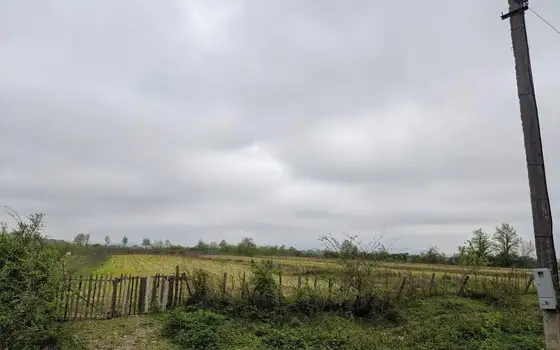 Agricultural land in Khobsky district., photo 3