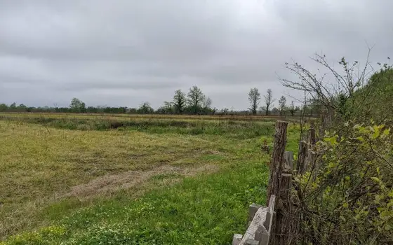 Agricultural land in Khobsky district., photo 5