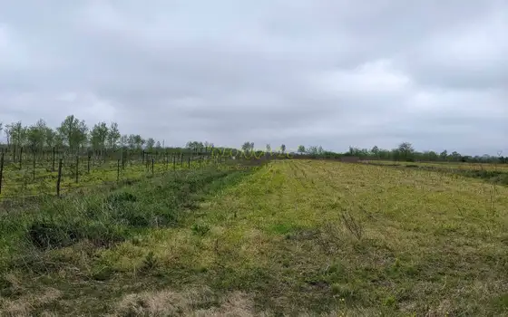 Сельскохозяйственный участок в Хобском районе.