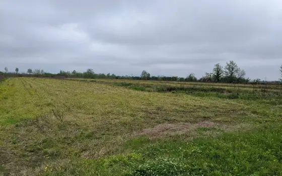 Agricultural land in Khobsky district., photo 7