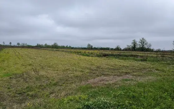 Сельскохозяйственный участок в Хобском районе.