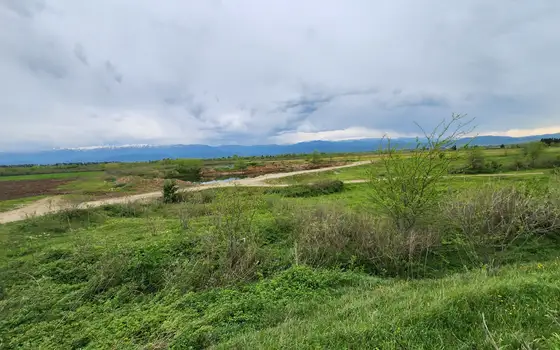 Земельный участок по дороге Кутаиси - Самтредиа.