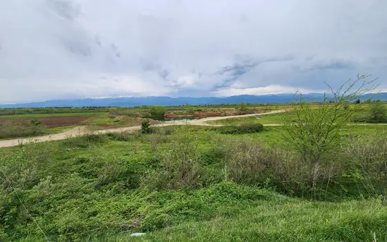 Земельный участок по дороге Кутаиси - Самтредиа.