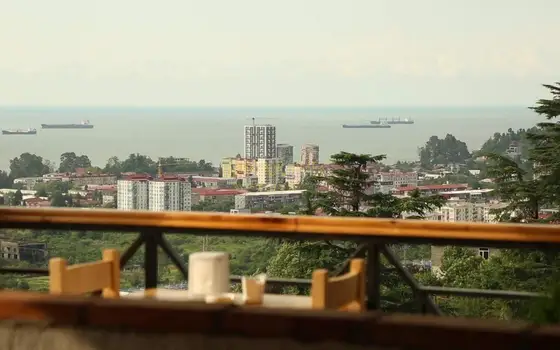 Действующий ресторан на окраине Батуми. - სურათი 1