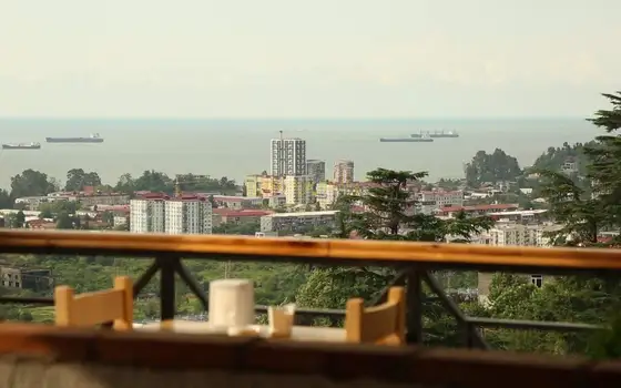 Действующий ресторан на окраине Батуми. - სურათი 1