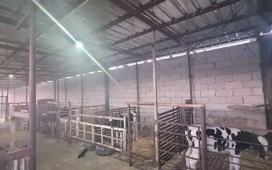 Срочно продается животноводческая ферма в Кахетии.