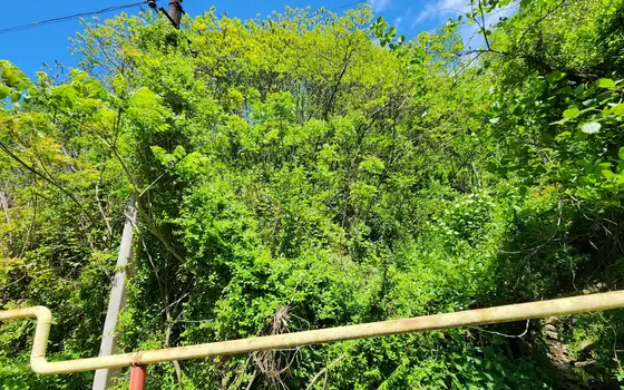 Land for sale in Gantiada., photo 7
