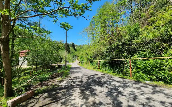 Land for sale in Gantiada., photo 5