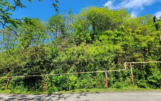 Land for sale in Gantiada., photo 3