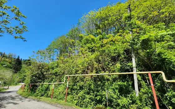 Land for sale in Gantiada., photo 10