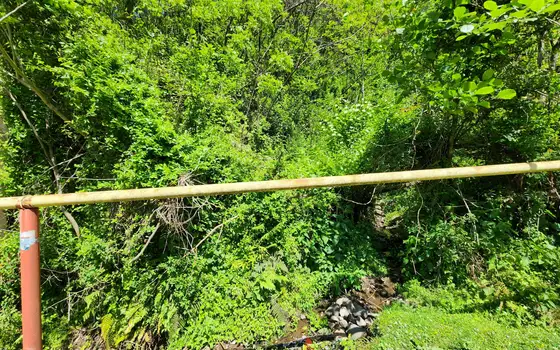 Land for sale in Gantiada., photo 6