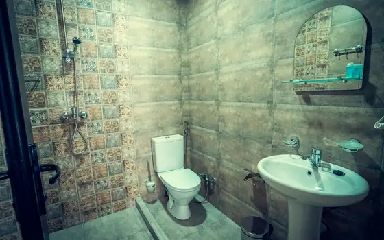 Продается в Бакуриани! 3 новых коттеджа: