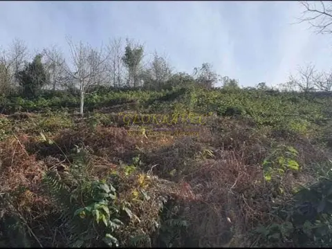 Земельный участок с красивой панорамой.