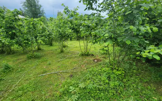 Недвижимость для немедленной продажи.