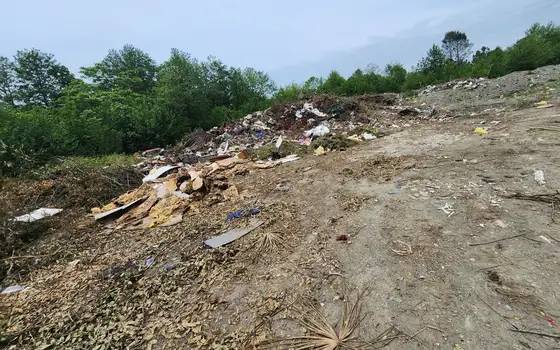 Land for sale in the city of Kobuleti., photo 8
