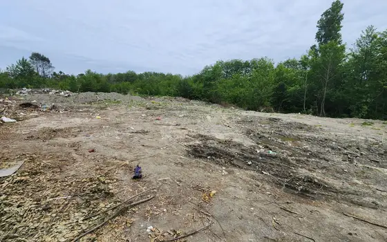 Land for sale in the city of Kobuleti., photo 10