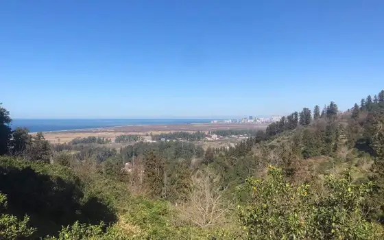 Sea View Land near Gonio, photo 9