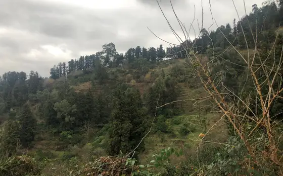 Sea View Land near Gonio, photo 4
