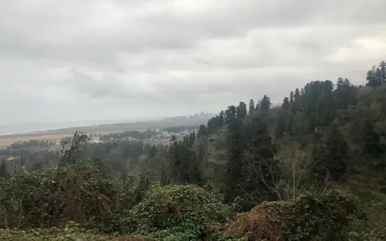 Sea View Land near Gonio, photo 3