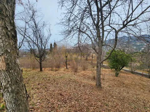 Собственный дом с участком земли.