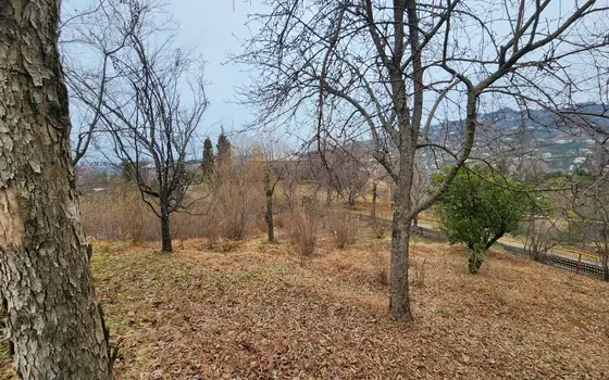 Собственный дом с участком земли.