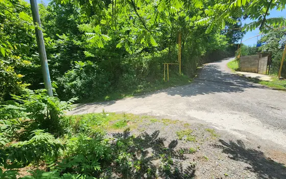 Non-agricultural land in Makhinjauri., photo 2