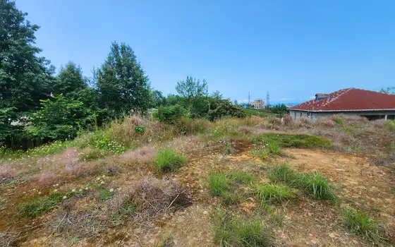 Land plot 1 km from the sea., photo 6