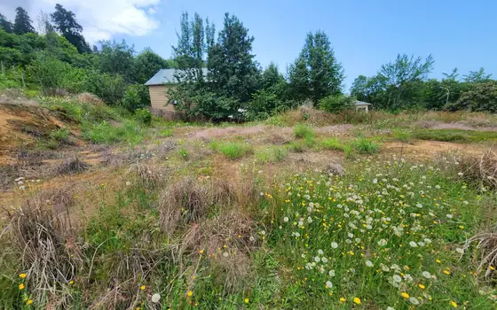 Land plot 1 km from the sea., photo 3