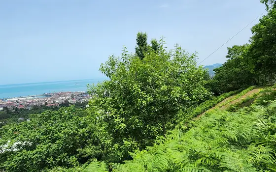 Земельный участок с видом на море.
