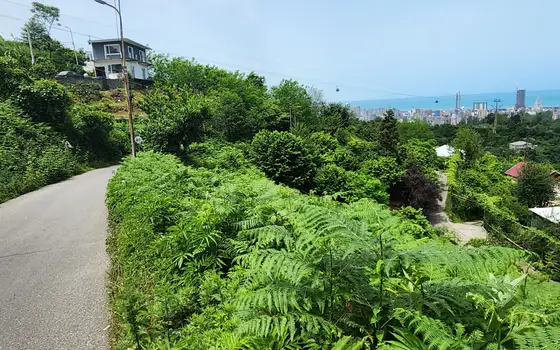 Земельный участок с видом на море.