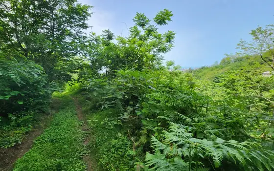 Земельный участок с видом на море и город.
