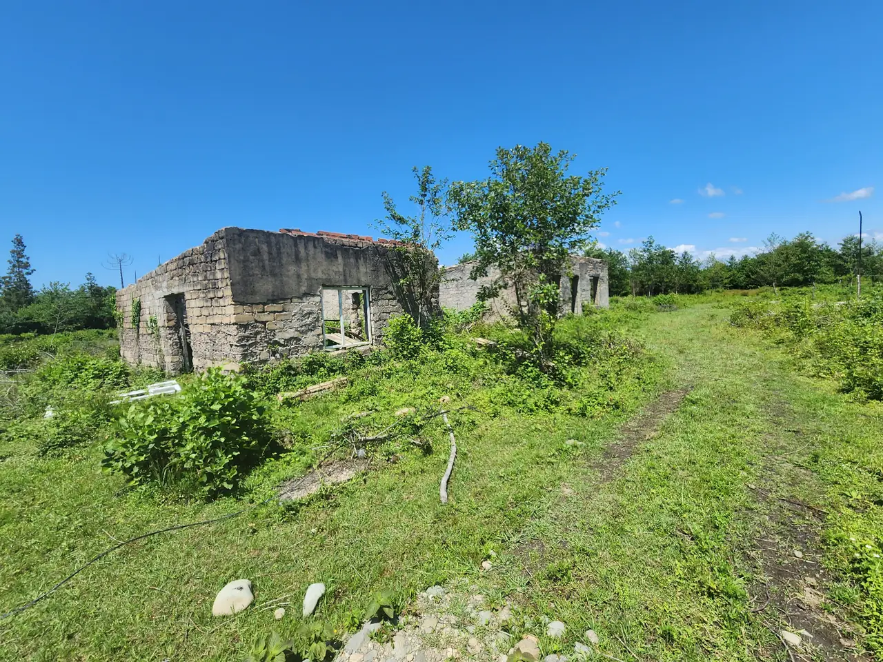 Land for sale in Natanebi., photo 1