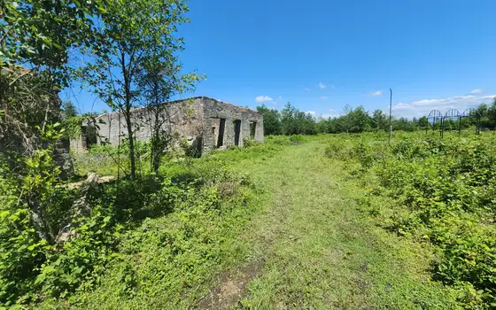 Land for sale in Natanebi., photo 2