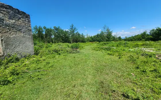 Land for sale in Natanebi., photo 7