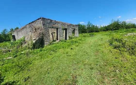 Land for sale in Natanebi., photo 5