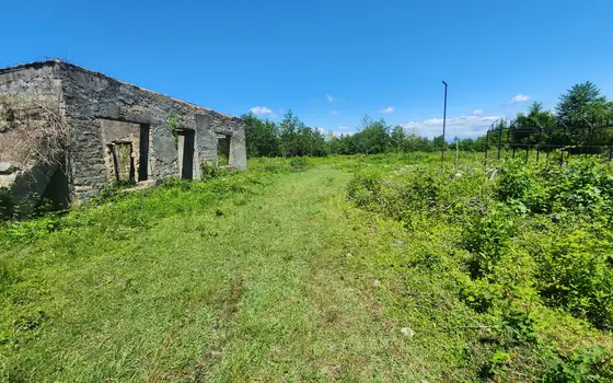 Land for sale in Natanebi., photo 4