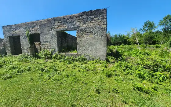 Land for sale in Natanebi., photo 10