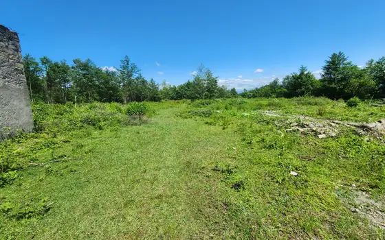 Land for sale in Natanebi., photo 6
